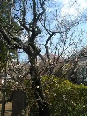 宝戒寺(神奈川県)