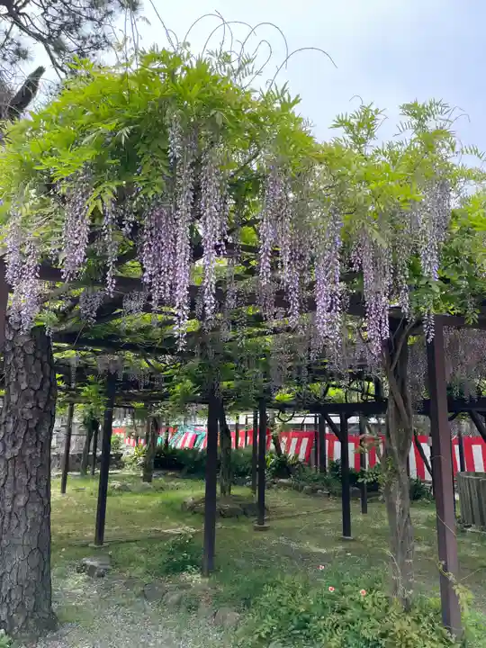 葛井寺(大阪府)