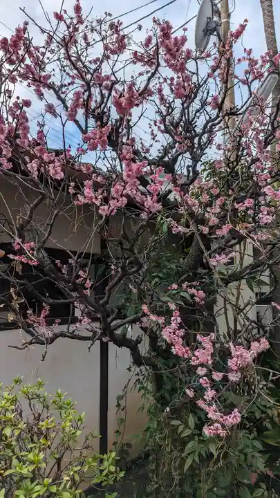 本昌寺(京都府)