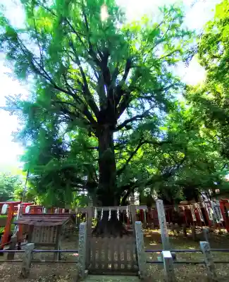 鬼子母神堂　(法明寺）の{uncategorized: "未分類", other: "その他", undefined: "問題あり", building: "その他建物", grave: "お墓", sacred_gate: "鳥居", guardian: "狛犬", statue: "像", buddha: "仏像", history: "歴史", nature: "自然", garden: "庭園", animal: "動物", pagoda: "塔", temizu: "手水舎", mountain_gate: "山門・神門", sanctuary: "本殿・本堂", subordinate: "末社・摂社", art: "芸術", scenery: "景色", jizo: "地蔵", ema: "絵馬", goshuin: "御朱印", omikuji: "おみくじ", items: "授与品その他", amulet: "お守り", goshuincho: "御朱印帳", eats: "食事", festival: "お祭り", votive_dance: "神楽", shichigosan: "七五三参", wedding: "結婚式", experience: "体験その他", initially: "初詣", around: "周辺", anti_infection: "感染症対策"}