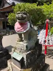 葛城神社の狛犬