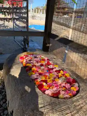 金井神社の手水舎