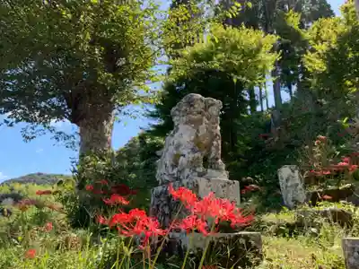 八幡神社の狛犬