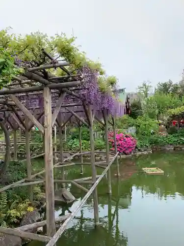 亀戸天神社の庭園