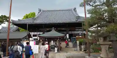 葛井寺の本殿・本堂