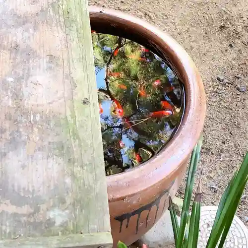 賀露神社の動物