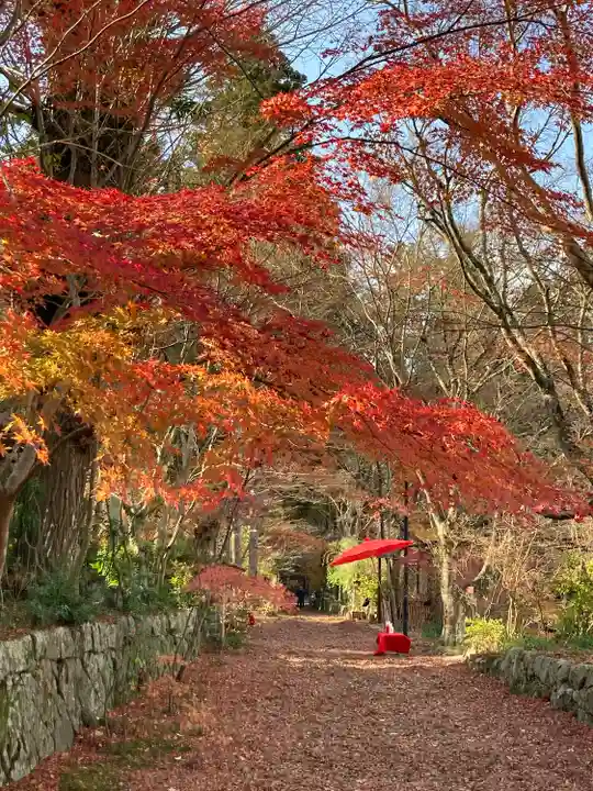 国宝 長寿寺の自然