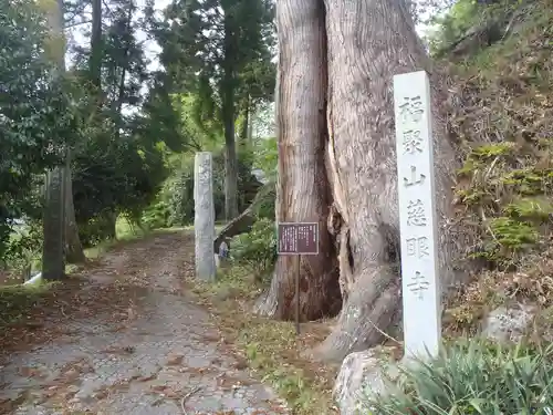 慈眼寺(愛知県)