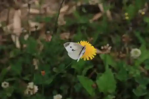 大六天麻王神社(福島県)