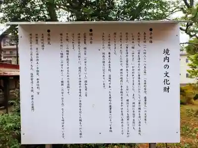 大井氷川神社(埼玉県)