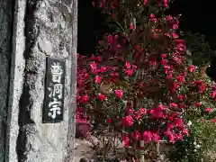 医王寺の建物その他