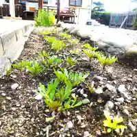 七重浜海津見神社(北海道)