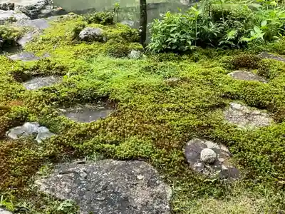 実相院門跡(京都府)