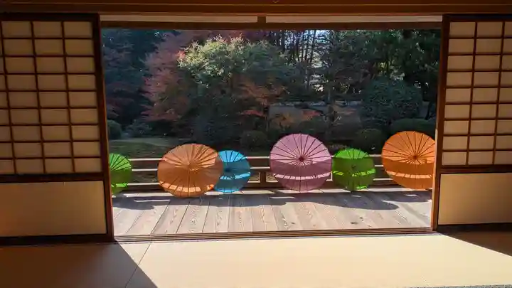 隨心院(随心院)(京都府)