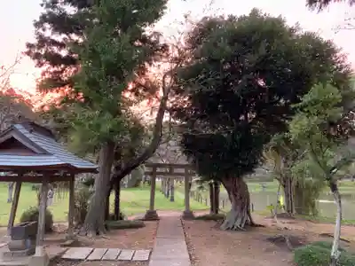 嚴島神社(千葉県)