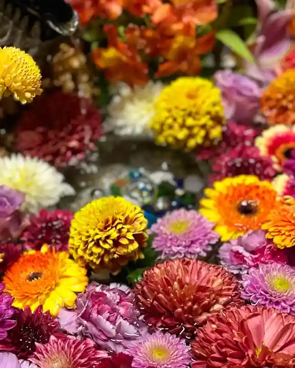 札幌諏訪神社の手水舎