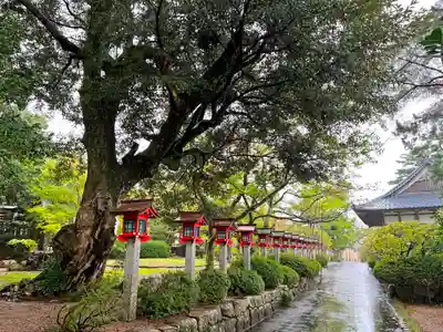 常宮神社(福井県)