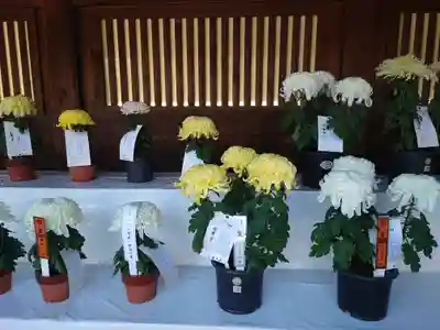 寒川神社(神奈川県)