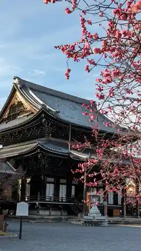 興正寺(京都府)