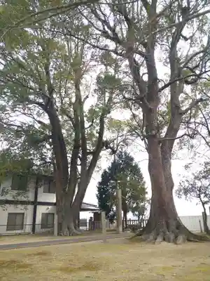 八幡神社里宮の自然