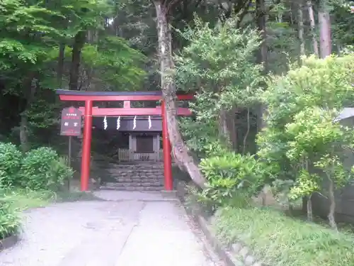 新宮神社（今宮）の鳥居