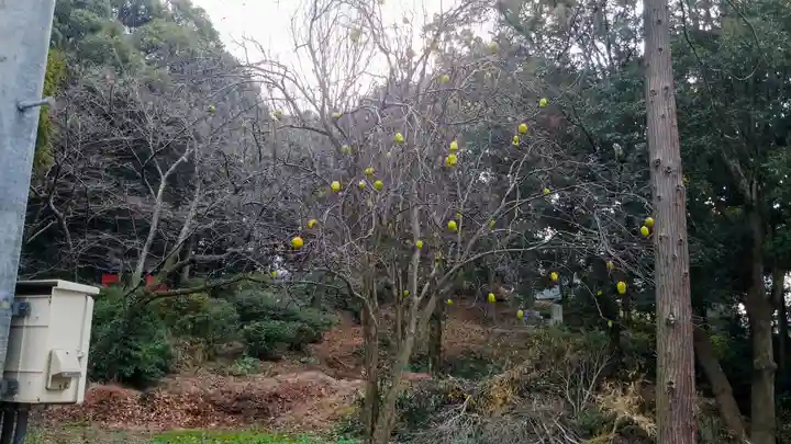 香椎宮(福岡県)