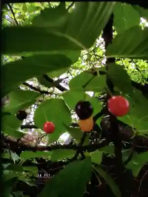 新宿下落合氷川神社(東京都)