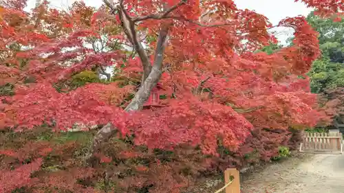鍬山神社(京都府)