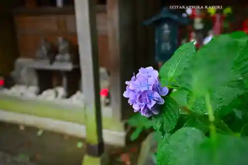 田無神社(東京都)