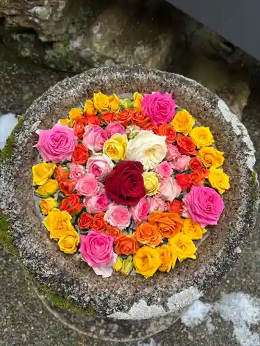 丹生都比売神社(和歌山県)