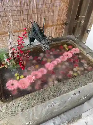 札幌諏訪神社の手水舎