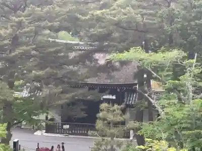 南禅寺(京都府)