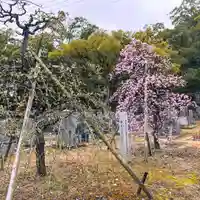 伊勢の国 四天王寺(三重県)