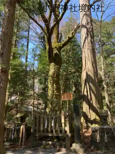 小野神社(長野県)