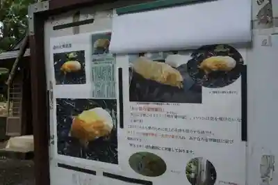 下野 星宮神社のその他建物