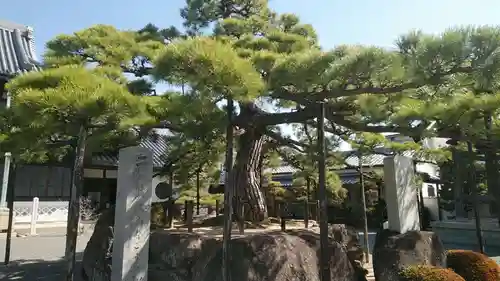 花岳寺の自然