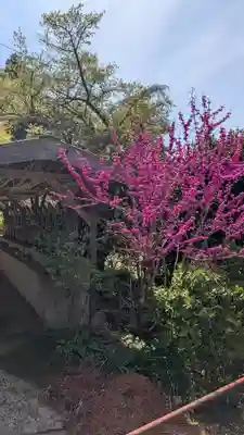 金剛頂院(福岡県)