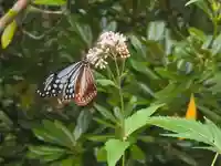 志明院(金光峯寺)(京都府)
