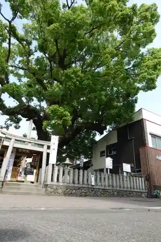 大神社の自然