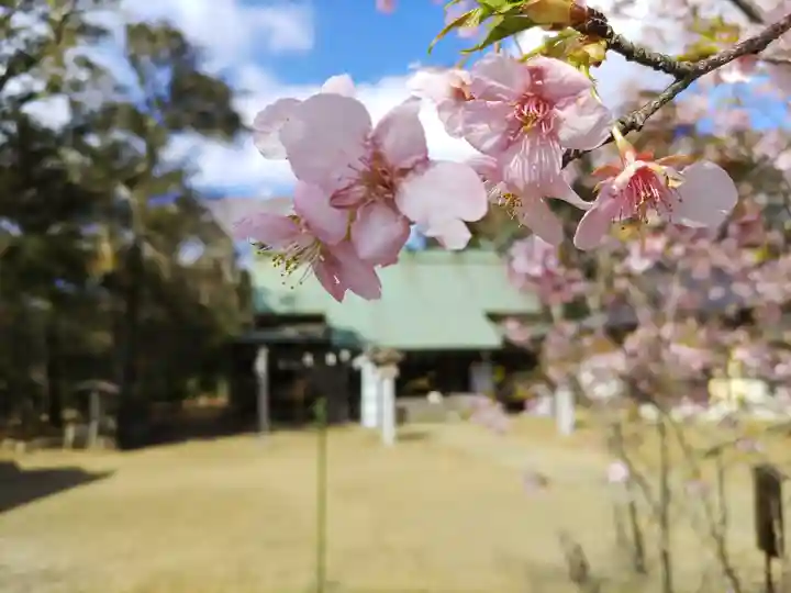 鎌数伊勢大神宮(千葉県)
