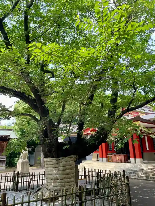 旗岡八幡神社(東京都)
