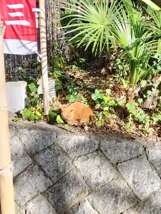 上宮天満宮(大阪府)