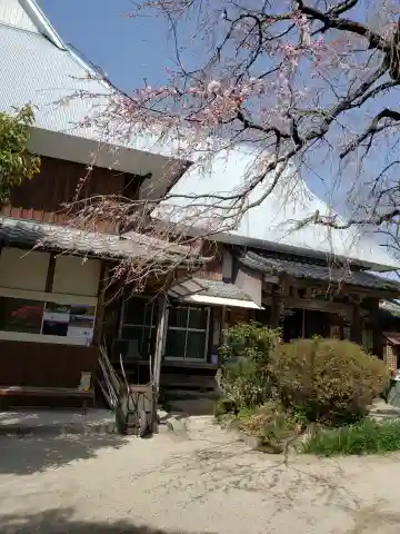 宝珠寺の本殿・本堂