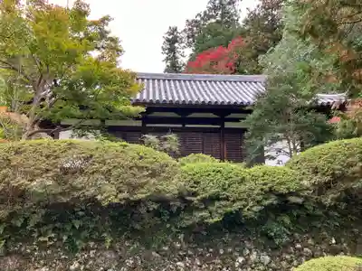 観心寺(大阪府)