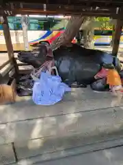 北野天満宮の狛犬