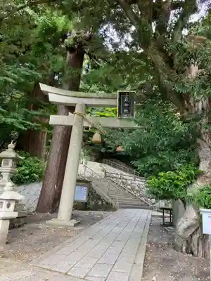 泉神社の鳥居