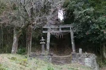 浅草神社の鳥居