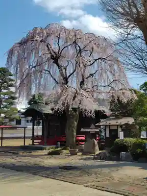 長松院(福島県)