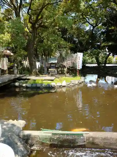 平塚八幡宮の庭園