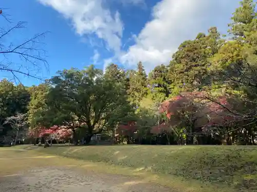大斎原（熊野本宮大社旧社地）(和歌山県)
